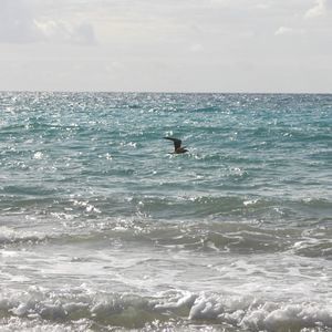 Meet your Posher, Paul